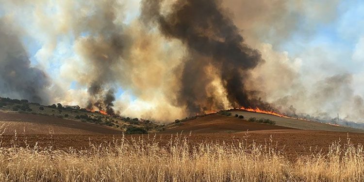 Incendio agrícola en Gascueña