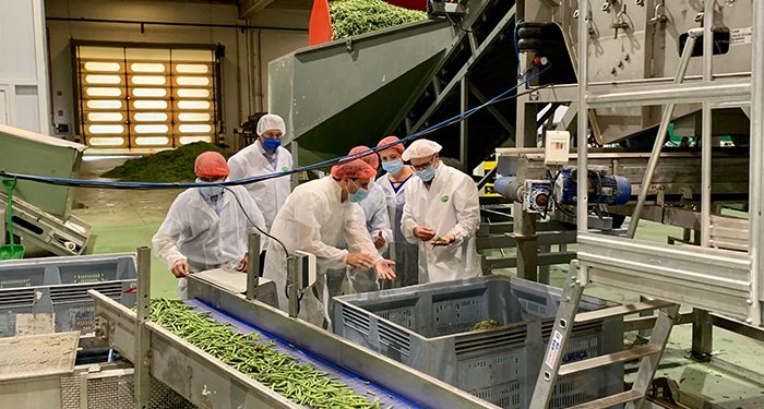 La Diputación de Cuenca colabora con el The Real Green Food para instalar modelos de producción de legumbres en la provincia