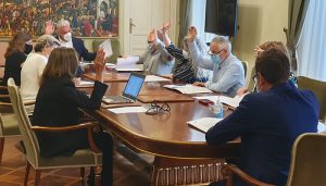 La Diputación de Guadalajara concede 195.000 euros de ayudas a autónomos y pymes de artes escénicas y ganaderías de lidia