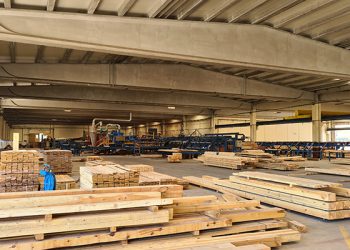 La Fábrica Municipal de Maderas de Cuenca supera las auditorías que confirman la gestión sostenible de sus productos