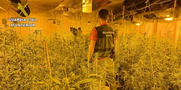 La Guardia Civil de Guadalajara desmantela otra plantación de marihuana “indoor”..., esta vez en El Casar