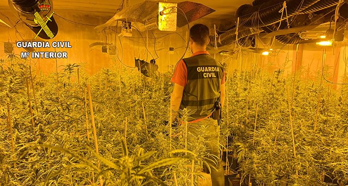 La Guardia Civil de Guadalajara desmantela otra plantación de marihuana “indoor”..., esta vez en El Casar