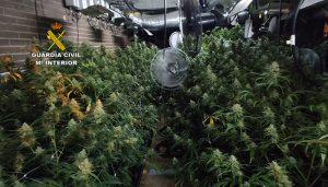 La Guardia Civil detiene en El Casar a una persona por cultivo de marihuana