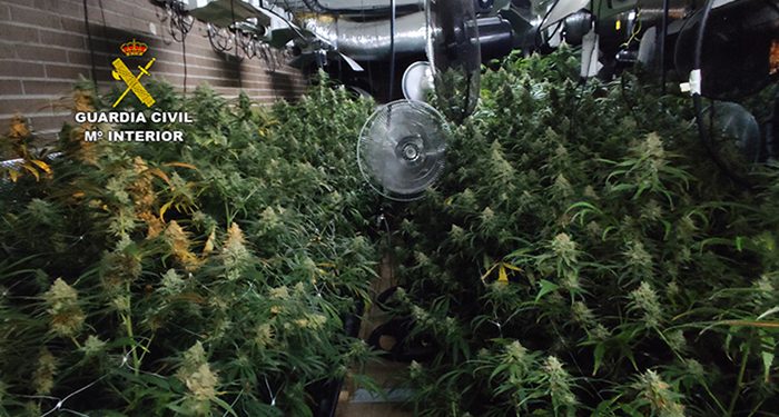 La Guardia Civil detiene en El Casar a una persona por cultivo de marihuana