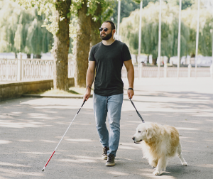 La Ley de acceso al entorno de las personas con discapacidad acompañadas de perros, más cerca