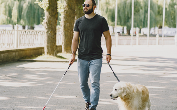 La Ley de acceso al entorno de las personas con discapacidad acompañadas de perros, más cerca