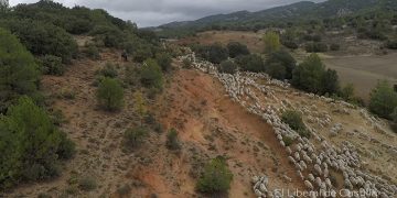 Las organizaciones ecologistas vaticinan que la modificación de la Ley de Vías Pecuarias de Castilla-La Mancha supondrá su desmantelamiento legal y desaparición definitiva