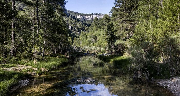 Solán de Cabras recibirá el Premio Serranía de Cuenca 2021 por su contribución al sostenimiento de la población en la comarca