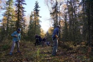Una investigación de la UAH desvela que utilizar plantas grandes aumenta la supervivencia en restauración forestal