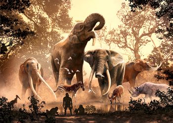 El investigador conquense Fernando Blanco publica un estudio sobre el declive del linaje de los elefantes, los mamuts y los mastodontes El investigador conquense Fernando Blanco publica un estudio sobre el declive del linaje de los elefantes, los mamuts y los mastodontes
