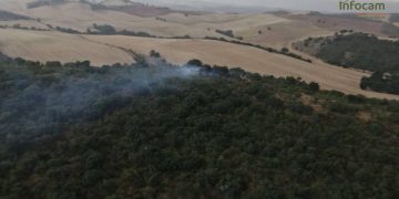 Controlado un incendio en Espinosa de Henares