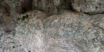 Pintadas en La Balsa de Valdemoro Sierra