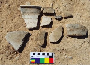 Aparecen importantes hallazgos arqueológicos en Marchamalo y Torija