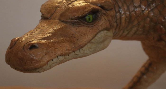 Ayuntamiento de Tamajón y Universidad de Alcalá inauguran este viernes el nuevo CIPAT