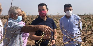 Castilla-La Mancha incrementará un 16 por ciento la financiación para los seguros agrarios en 2022