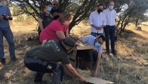 Castilla-La Mancha trabaja en la ampliación de la Red Natura 2000 en consonancia con los objetivos de la Estrategia de Biodiversidad 2030 de la Unión Europea