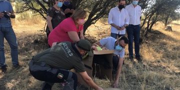 Castilla-La Mancha trabaja en la ampliación de la Red Natura 2000 en consonancia con los objetivos de la Estrategia de Biodiversidad 2030 de la Unión Europea