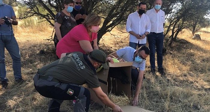 Castilla-La Mancha trabaja en la ampliación de la Red Natura 2000 en consonancia con los objetivos de la Estrategia de Biodiversidad 2030 de la Unión Europea