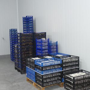 CEOE-Cepyme Cuenca remarca que las exportaciones suman casi 100 millones de euros más a mitad de año sobre 2020