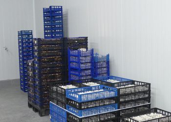 CEOE-Cepyme Cuenca remarca que las exportaciones suman casi 100 millones de euros más a mitad de año sobre 2020
