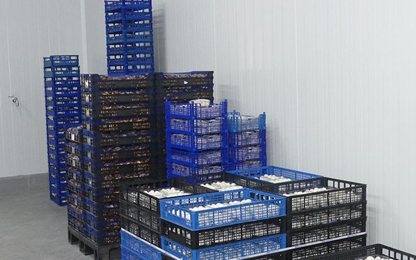 CEOE-Cepyme Cuenca remarca que las exportaciones suman casi 100 millones de euros más a mitad de año sobre 2020 1 CEOE-Cepyme Cuenca remarca que las exportaciones suman casi 100 millones de euros más a mitad de año sobre 2020