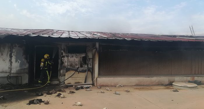 Cerca de 40.000 pollos mueren tras incendiarse una nave de cría en Villanueva de la Jara