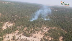 Cinco medios, tres de ellos aéreos, y 23 personas luchan contra el fuego en Armallones