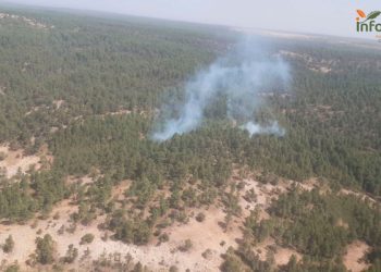 Cinco medios, tres de ellos aéreos, y 23 personas luchan contra el fuego en Armallones