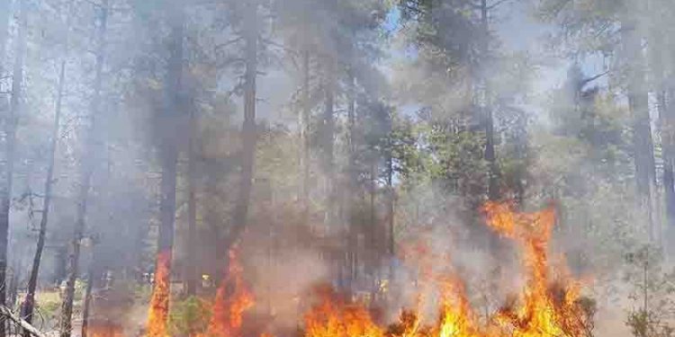 Controlado en apenas 30 minutos un incendio en Villalba de la Sierra