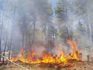 El Centro Nacional de Emergencias monitoriza el episodio de altas temperaturas ante el riesgo extremo de incendios