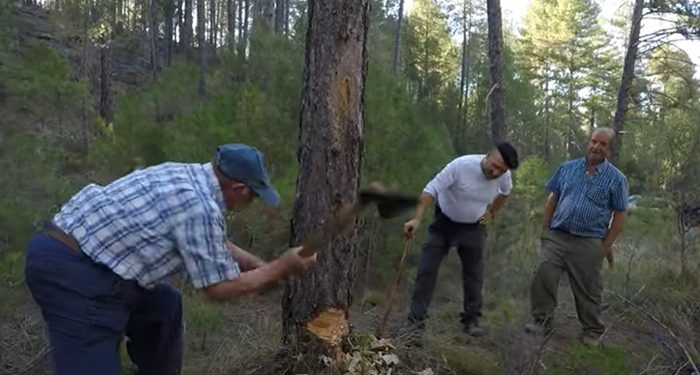 El Cuervo. El río que los lleva