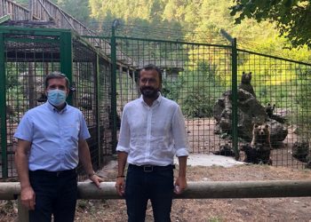 El Gobierno regional invierte en el parque cinegético ‘El Hosquillo’ 250.000 euros entre 2021 y 2022 para mejorar las instalaciones y la experiencia del visitante 1 El Gobierno regional invierte en el parque cinegético ‘El Hosquillo’ 250.000 euros entre 2021 y 2022 para mejorar las instalaciones y la experiencia del visitante