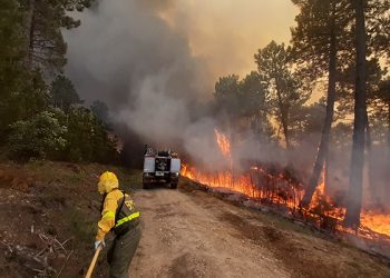 El incendio de Víllora, entre los más grandes en lo que va de año en toda España El incendio de Víllora, entre los más grandes en lo que va de año en toda España