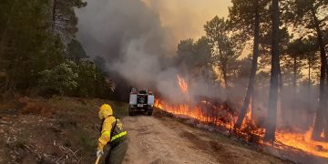 El incendio de Víllora, entre los más grandes en lo que va de año en toda España