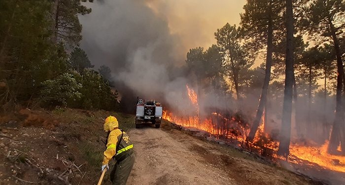 El incendio de Víllora, entre los más grandes en lo que va de año en toda España