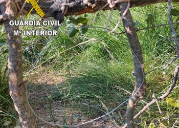El SEPRONA denuncia a un vecino de Romancos por usar medios prohibidos de caza