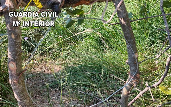 El SEPRONA denuncia a un vecino de Romancos por usar medios prohibidos de caza 1 El SEPRONA denuncia a un vecino de Romancos por usar medios prohibidos de caza