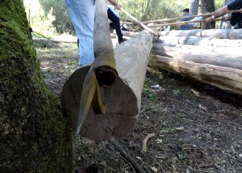 Maderadas por el río Cuervo. Segunda parte