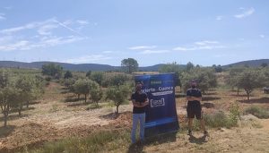 Invierte en Cuenca apoya la iniciativa de plantación de trufa en la Graja de Campalbo