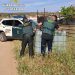 La Guardia Civil desarticula un grupo criminal que robó en 108 explotaciones agrícolas de las provincias de Cuenca y Ciudad Real