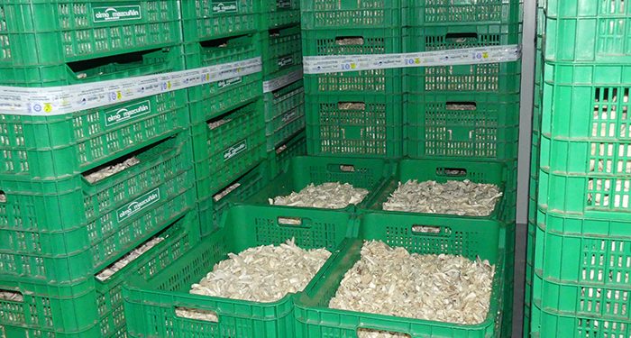 La patronal conquense enfatiza el ritmo imparable de las exportaciones que ya crecen un 33%