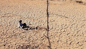 La UCLM participa en un estudio internacional que evalúa la restauración de zonas áridas en todo el mundo