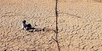 La UCLM participa en un estudio internacional que evalúa la restauración de zonas áridas en todo el mundo