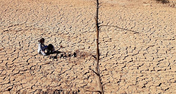 La UCLM participa en un estudio internacional que evalúa la restauración de zonas áridas en todo el mundo 1 La UCLM participa en un estudio internacional que evalúa la restauración de zonas áridas en todo el mundo
