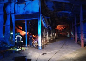 Las gallinas de una granja avícola de Yebra se salvan por los pelos de morir en un incendio
