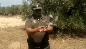 Liberan un mochuelo tras ser recuperado en el Centro de Recuperación de Fauna de Guadalajara