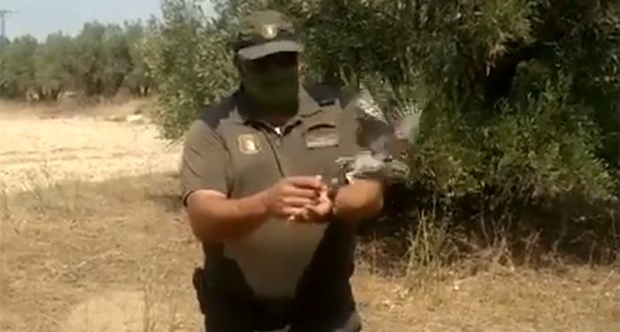 Liberan un mochuelo tras ser recuperado en el Centro de Recuperación de Fauna de Guadalajara 1 Liberan un mochuelo tras ser recuperado en el Centro de Recuperación de Fauna de Guadalajara