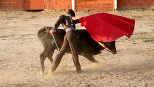 Los novilleros Tristán Barroso y Rubén Núñez salen a hombros en Tamajón
