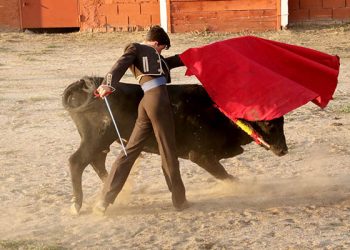 Los novilleros Tristán Barroso y Rubén Núñez salen a hombros en Tamajón