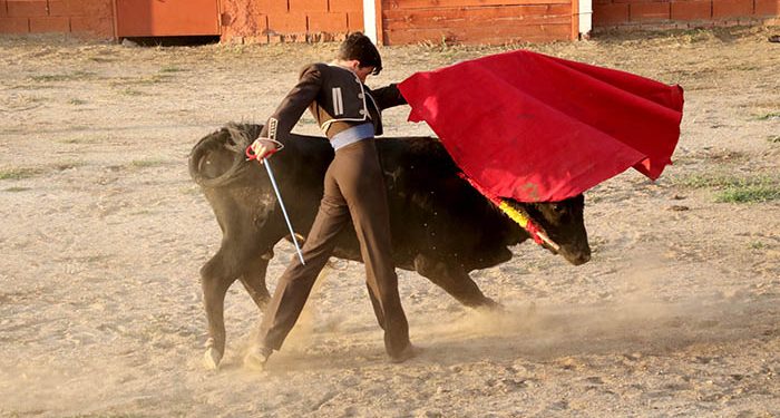 Los novilleros Tristán Barroso y Rubén Núñez salen a hombros en Tamajón